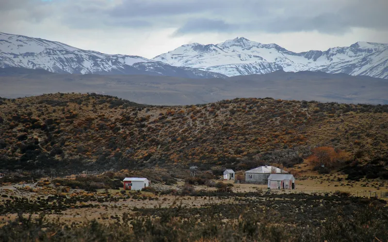 Horses in front of an estancia farmhouse on the Patagonian steppe